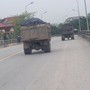Nỗi khiếp sợ mang tên công nông ở Nam Định