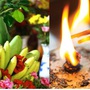 Khung giờ đẹp thắp hương Rằm tháng 4 âm lịch 2025 - ngày Rằm đặc biệt nhất trong năm để khẩn cầu đắc linh ứng