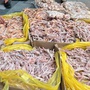 Phường Hưng Đông, TP Vinh phát hiện gần 500kg chân gà, đuôi lợn không rõ nguồn gốc xuất xứ chuẩn bị đưa ra thị trường