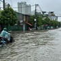 Tin sáng 21/5: Miền Bắc sắp hứng đợt mưa lớn, nguy cơ lũ quét, ngập lụt; Phát hiện hai loài nấm phát quang kỳ bí tại Vườn quốc gia Bái Tử Long