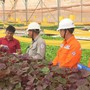 Lịch cúp điện Hậu Giang từ ngày 28/5 – 1/6/2025: Cúp điện 10 tiếng/ngày nhiều khu dân cư để sửa chữa lưới điện