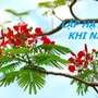 Lập Hạ 2025 và những đại kỵ không phải ai cũng biết để may mắn, tránh tán tài tán lộc