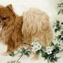 Con giáp được Thần Tài ưu ái bậc nhất
