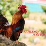 Con giáp tuổi Dậu đón nhiều tin vui, lộc đổ về sầm sập trong tháng 5