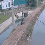 Khoảnh khắc 3 học sinh bị điện giật khi cố lấy diều mắc trên cột điện 110kV