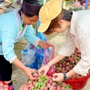 Mận hậu bán ngập thị trường, tiểu thương chỉ cách phân biệt mận Việt và mận Trung Quốc