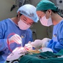 Người phụ nữ 48 tuổi phát hiện u não to như quả quýt từ dấu hiệu nhiều người Việt bỏ qua