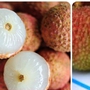 5 lưu ý quan trọng khi ăn quả vải để không gây hại sức khoẻ
