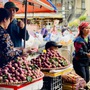 Mận hậu giảm giá sâu chỉ còn vài nghìn đồng/kg bán đổ đống đầy thị trường