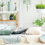 Những loại cây nhả khí oxy vào ban đêm, trồng trong phòng ngủ giúp tăng sinh dương khí, ngủ ngon và cải thiện sức khỏe