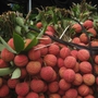 Quả vải giảm giá sâu chỉ còn vài nghìn đồng/kg bán đổ đống, chị em bày nhau làm món ngon dễ làm cho bữa ăn gia đình thêm phần hấp dẫn