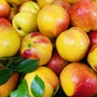 Loại quả giàu chất chống oxy hóa đang vào mùa, bán đầy chợ Việt giá hơn chục nghìn/kg
