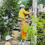Lịch cúp điện Long An từ ngày 1 – 6/7/2025: Cúp điện 12 tiếng/ngày nhiều khu dân cư và tuyến đường