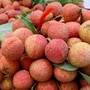 Vải thiều vào cuối vụ giá bán siêu rẻ, chị em truyền nhau bí quyết bảo quản quả vải tươi cả tháng