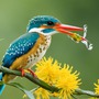 4 tháng Âm lịch 'định mệnh' giúp người sinh ra hưởng phúc, tiền bạc không bao giờ cạn