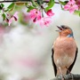 Sinh đúng ngày, số mệnh đổi khác: Ngày sinh Âm lịch của người bản lĩnh, vững vàng trước nghịch cảnh