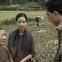 'Mẹ chồng tôi' phim đầu tiên của Văn nghệ Chủ nhật và những điều bây giờ mới được tiết lộ