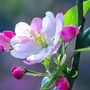 Trẻ sinh vào 4 tháng Âm lịch vượng khí: Càng lớn càng giỏi, tiền tài danh vọng theo về