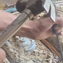 Phát hiện két sắt bí ẩn dưới sàn nhà vợ chồng trẻ "sốc nặng" khi nhìn thấy thứ bên trong