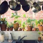 Giới nhà giàu thường đặt cây xanh ở vị trí này, bảo sao tiêu tiền không hết