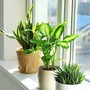 Cách tận dụng nguồn năng lượng đặc biệt của tháng 6 nhuận để kích hoạt may mắn, thịnh vượng