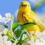 4 tháng Âm lịch sinh ra những đứa trẻ phúc khí, sự nghiệp sau này rạng rỡ hơn người