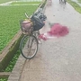 Người phụ nữ bị sét đánh tử vong khi đi qua cánh đồng ở Hà Nội