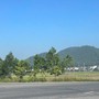 Dự án đường sắt tốc độ cao qua bao nhiêu xã, phường của Thanh Hóa?