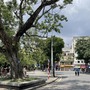 Miền Bắc lại đón mưa lớn sau nắng nóng cục bộ