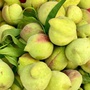 Đào mỏ quạ vào mùa bán đầy thị trường, tiểu thương chỉ cách phân biệt hàng Việt Nam và Trung Quốc