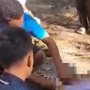 Thảm kịch ở đảo du lịch Đông Nam Á: Tìm thấy thi thể người đàn ông trong bụng con trăn dài gần 9 mét