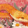 Nghe lời ngọt ngào, trao hết tin yêu: 5 con giáp nữ dễ gặp 'trái đắng' trong tình yêu