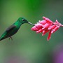 Tháng sinh Âm lịch tiết lộ vận mệnh: Người sinh vào những tháng này cả đời thuận lợi, hanh thông