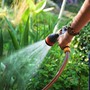 Dùng những loại nước này tưới cây, cây 'lớn nhanh như thổi'