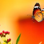 Tháng sinh Âm lịch của người đặc biệt xuất sắc trên nhiều phương diện