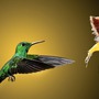 Ngày sinh Âm lịch của người có vận may nổi bật, tiền tài vượng phát