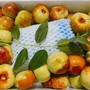 Hồng táo đang bán nhiều ở chợ Việt được ví 'thuốc bổ tự nhiên': Nên ăn hồng táo tươi hay khô mới tốt cho sức khỏe? 