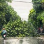 Bão số 5 áp sát đất liền, sức gió giật cấp 16 gây sóng cao đến 8m
