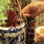 2 điều tuyệt đối không làm trên ban thờ vào nửa đầu tháng 7 âm lịch