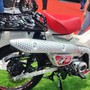 Xe số 125cc của Honda bản giới hạn đẹp hơn Future, Wave Alpha về Việt Nam giá bao nhiêu khiến khách hàng xôn xao?