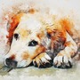 Con giáp yêu nhưng không dám bày tỏ, dễ vuột mất hạnh phúc trong tầm tay