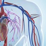 6 thói quen buổi sáng khiến tim ‘kêu cứu’ – bạn có đang mắc phải?