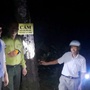 Xuyên đêm mật phục sau vụ nhiều cây thông ở Huế bị 'đầu độc'