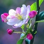 Tháng sinh Âm lịch của người tài hoa, đi đâu cũng được trọng dụng