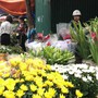 Những loại hoa nên chọn để cúng Rằm tháng 7 đem đến phúc khí, tài lộc