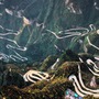 Đại lộ Thông Thiên: Cung đường lái xe 'điên rồ' nhất trên Trái Đất
