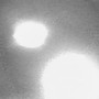 Đặt camera ẩn trong rừng hoang, phát hiện hình ảnh sốc