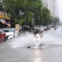 Người dân miền Bắc lại sắp hứng chịu những đợt mưa như trút nước do ảnh hưởng của siêu bão?