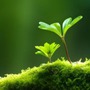 Ngày sinh Âm lịch của người khôn ngoan, hậu vận cực kì thịnh vượng
