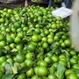 Bão Ragasa vào đất liền: Chi 5.000 đồng, người đi chợ chỉ nhận về 2 quả chanh
